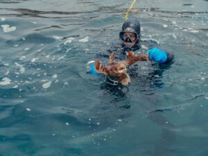 pexels-kindelmedia-8826364