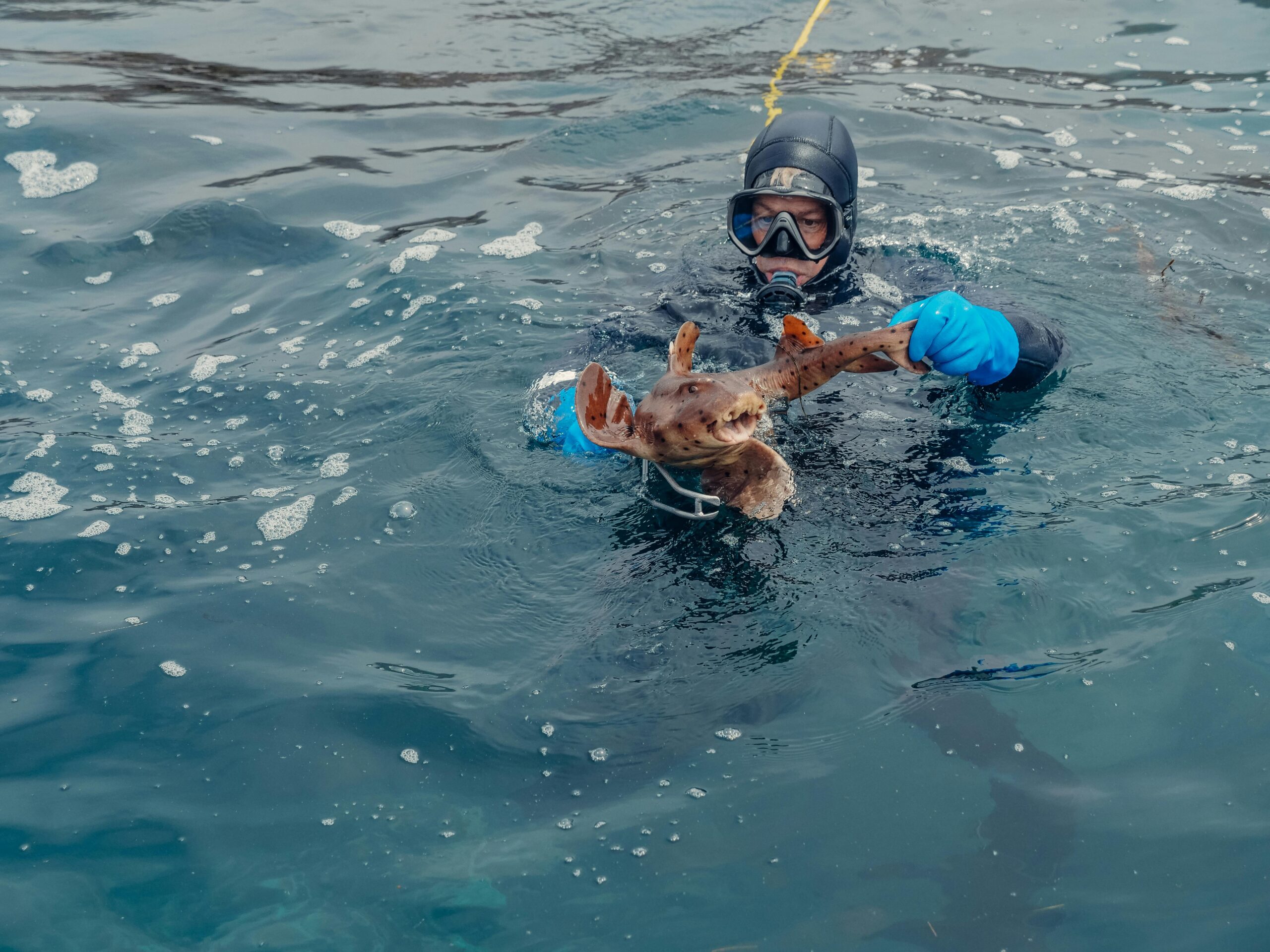 pexels-kindelmedia-8826364